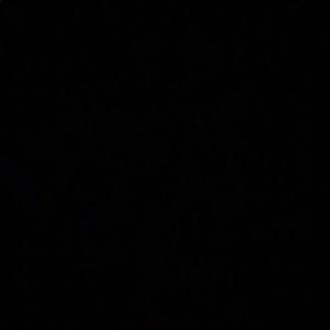 Meet your Posher, Tyana